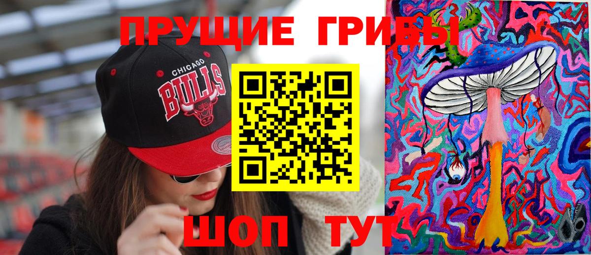 Севастополь  Галлюциногенные грибы Psilocybine cubensis  Вход с VPN 