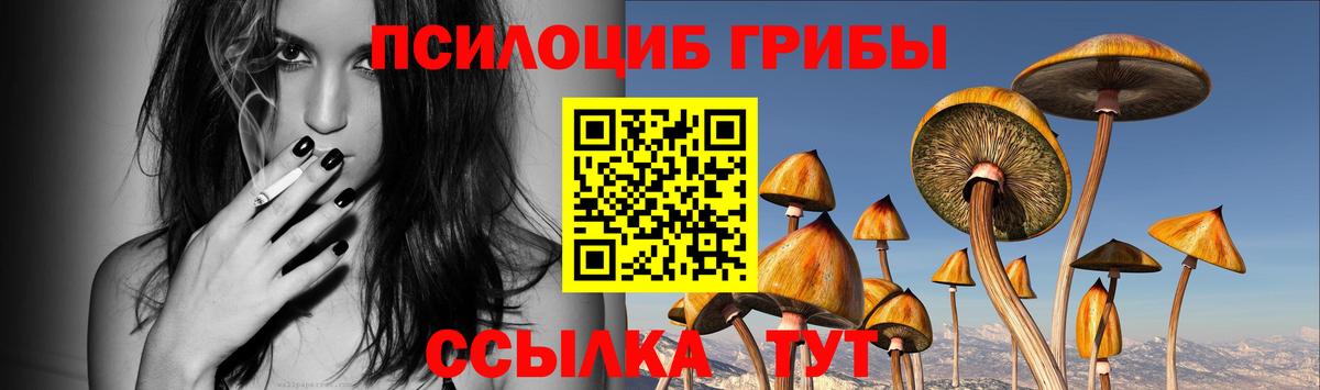 Псилоцибиновые грибы мухоморы Севастополь